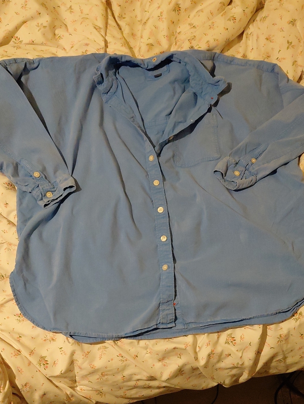 American Eagle Outfitters Light Blue Button-Down Shirt